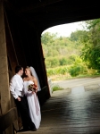 wedding_v_15