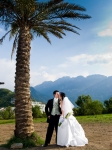 wedding_v_17